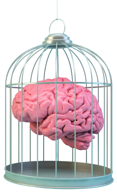 brain-in-a-cage